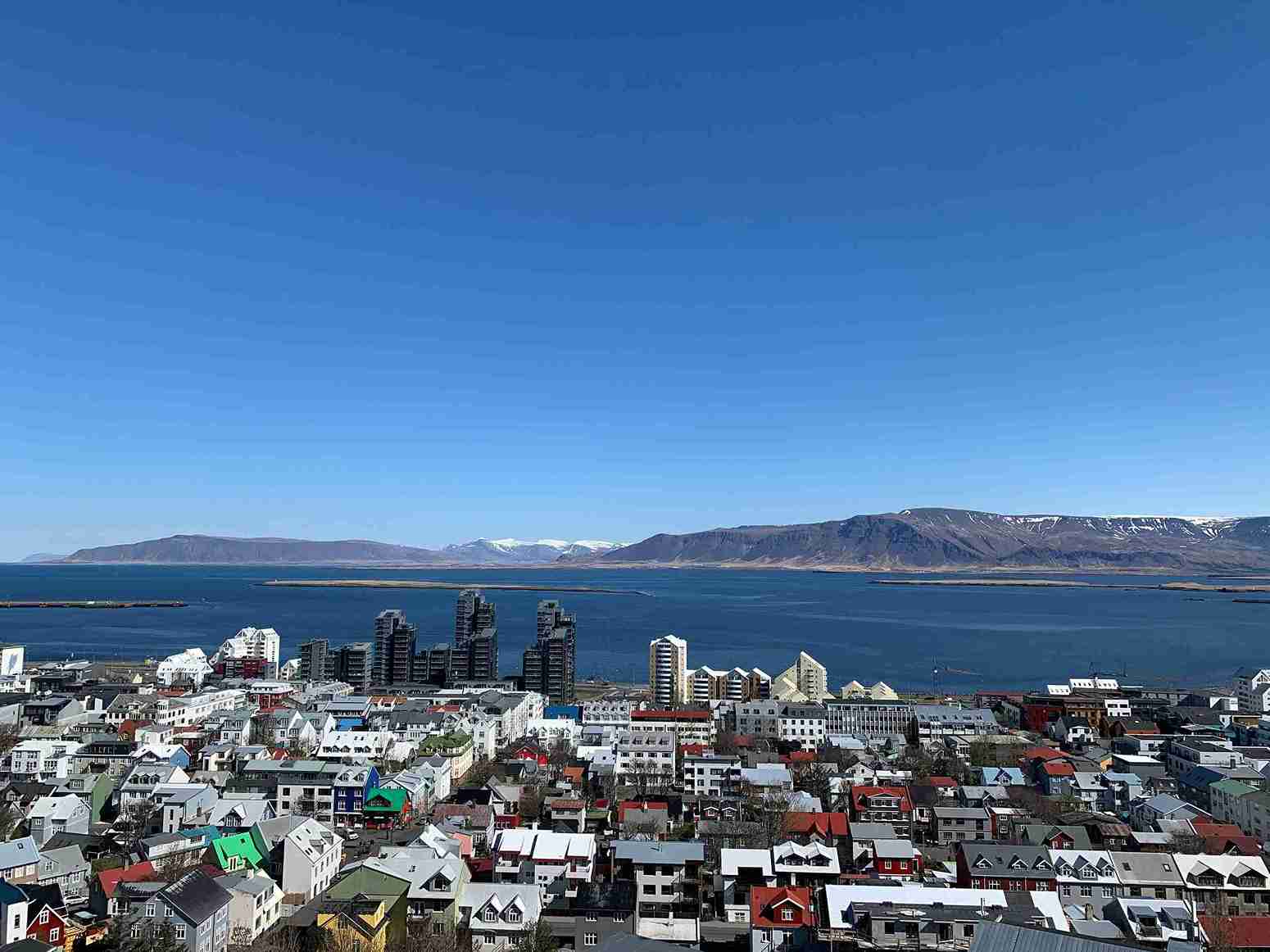 A Day in the Life of a Reykjavik Local